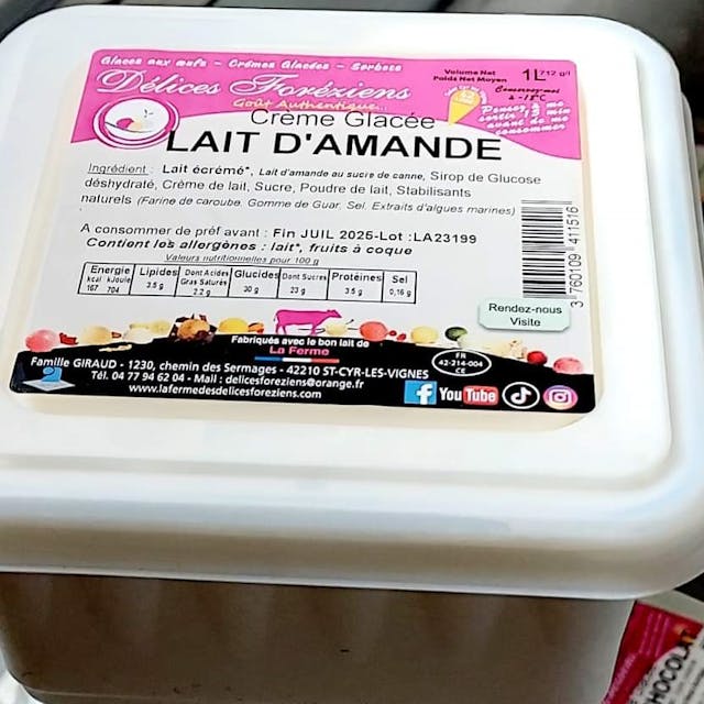 Crème Glacée Lait d'Amande 2.5L