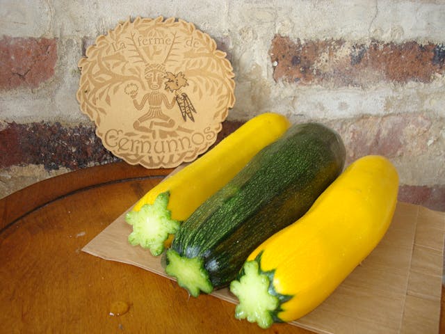 Courgettes colorées