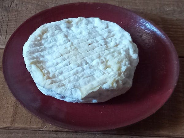 Félicité de chèvre au lait cru