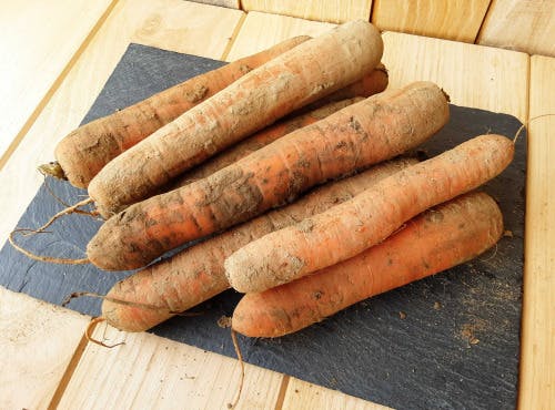 Carottes de Saint-Malo